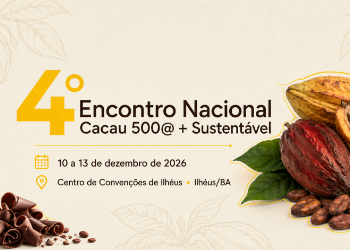 Cacau 500
